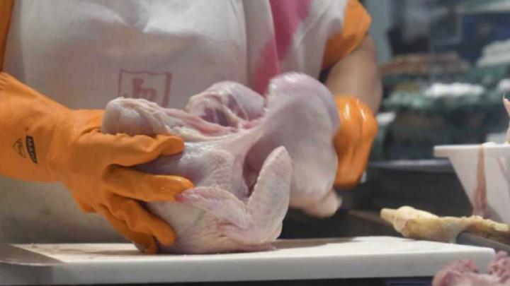 La faena y el consumo de pollo aumentaron 5,3% y 6,4% durante el primer  bimestre - Primera Fuente
