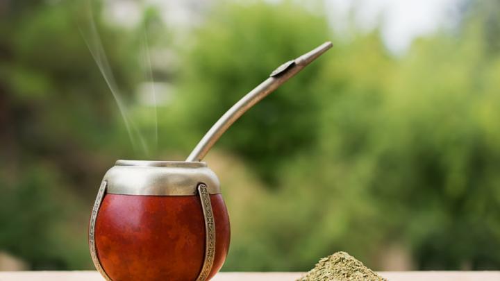 Día Nacional del Mate en la Argentina: diez datos curiosos sobre la yerba  mate - LA NACION